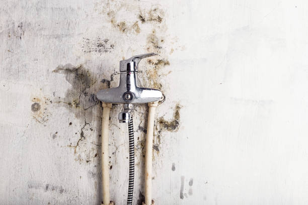 Best Water Damage Restoration  in Crozet, VA