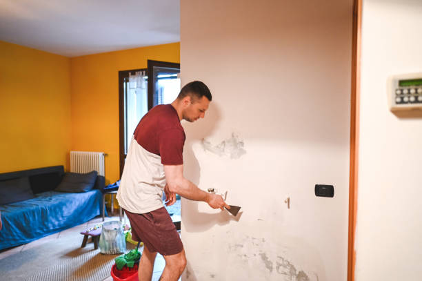 Best Mold Remediation  in Crozet, VA