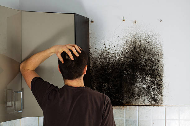 Best Mold Testing  in Crozet, VA