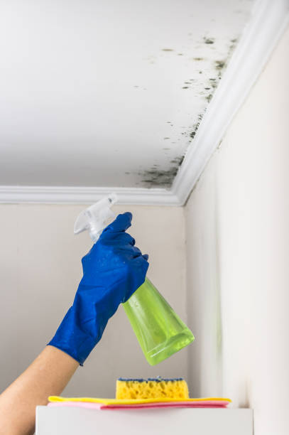 Best Mold Testing  in Crozet, VA